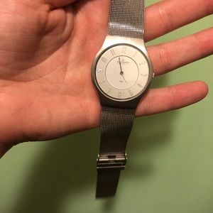 Silver Skagen Watch